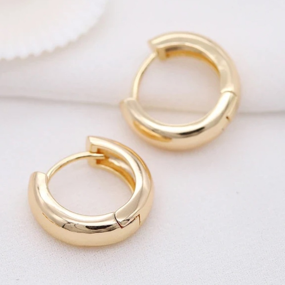 NWT 18k GOLD PLATED HOOP EARRINGS